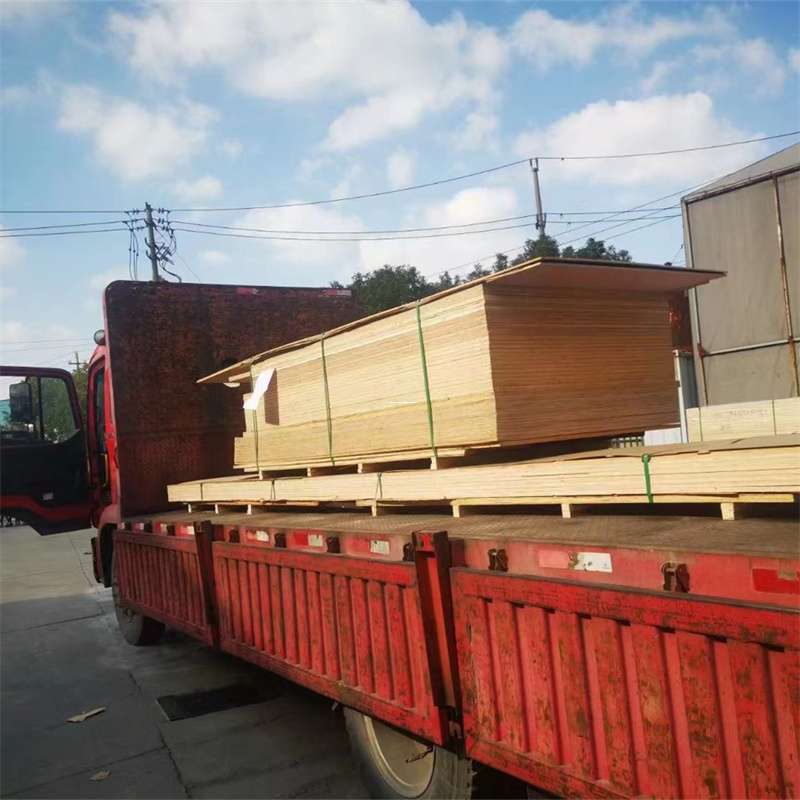 乐清到河北物流公司——一站式服务，让货运更便捷